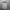 Japanese brand Streetwear Y2K Sweatshirt Pria gray photo 6
