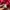 Adidas Vintage Y2K Hoody Pria red photo 5