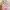Guess Lolita Casual Crossbody Bag Wanita pink photo 1