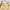 ELLE Coquette Casual Shoulder Bag Wanita Yellow