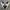 New Balance Futurist Casual Sneakers Pria black gray photo 2