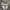 Nike Minimalist Casual Sneakers Kids white black photo 2