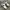 Nike Minimalist Casual Sneakers Kids white black photo 1