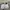 Lacoste Casual Loafer Pria white photo 4