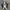 Converse Futurist Casual Sneakers Pria black photo 3