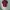 Polo Ralph Lauren Casual Formal shirt Pria red photo 1