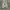 VANS Skater Sneakers Pria white photo 5