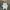 VANS Skater Sneakers Pria white photo 3