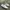 VANS Skater Sneakers Pria white photo 1