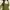 Minimalist Bodycon dress Wanita green black photo 4