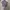 Polo Ralph Lauren Casual Formal shirt Pria multicolor photo 7