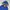 Casual Parka Kids blue photo 3