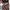 Luxury Lolita Evening dress Wanita pink black photo 4