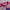 Asics Sportswear Jersey Wanita multicolor photo 3