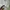 Polo Ralph Lauren Casual Formal shirt Pria white photo 4