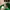 Streetwear Indie Hat Pria green yellow photo 6