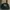 Vintage Y2K Hat Pria green photo 1