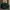 Vintage Y2K Hat Pria green photo 3