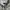 Vintage Y2K Hoody Pria gray photo 4