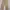 GAP Y2K Formal pants Pria tan photo 2