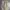 Japanese brand Streetwear Casual pants Pria green khaki photo 7