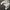 ZARA Minimalist Crop top Wanita white photo 4