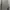 Vintage Minimalist Hoody Wanita gray photo 4