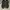 Puma Streetwear Sneakers Pria white black photo 1
