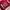 Wilson Y2K Sportswear Sweatshirt Pria white red photo 6