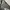 St John's Bay Vintage Luxury Formal pants Pria green khaki photo 2