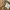 Old Navy Streetwear Sportswear Pria Brown