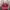 Nike Streetwear Sportswear Hat Pria Burgundy Red