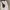 Luxury Minimalist Crossbody Bag Wanita black photo 3