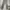 Stradivarius Casual High waisted jeans Wanita multicolor purple photo 2