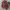 Cosplay Casual Sweater Wanita Pink