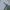 Anko Cosplay Casual Sweater Wanita gray photo 5