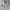 Polo Ralph Lauren Luxury Casual Polo shirt Pria white photo 4
