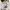 Bershka Y2K Crop top Wanita white photo 2