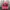 Japanese Brand Streetwear Casual Hat Pria Red