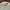 Japanese brand Vintage Track jacket Pria cream photo 3