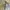 Japanese brand Vintage Track jacket Pria cream photo 5