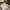 Japanese brand Vintage Track jacket Pria cream photo 6