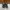 Adidas Streetwear Sneakers Pria black photo 1