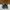 Adidas Streetwear Sneakers Pria Black