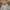 Adidas Streetwear Y2K Hoody Pria gray photo 2