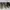 Converse Skater Indie Sneakers Pria brown black photo 5