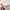 Billionaire Boys Club Streetwear Y2K Sweatshirt Pria gray photo 4