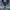 Casual Track jacket Pria multicolor photo 2
