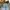 Japanese brand Y2K Skater Jeans Pria white blue photo 7