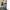 Japanese brand Y2K Emo Jeans Pria multicolor photo 1